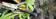 Нож Opinel №08 Outdoor Earth, нержавеющая сталь, оранжевый (001577) Нож Opinel №08 Outdoor Earth, нержавеющая сталь, оранжевый (001577)