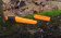 Нож Morakniv Companion F Serrated серрейторная заточка, нержавеющая сталь (11829) Нож Morakniv Companion F Serrated серрейторная заточка, нержавеющая сталь (11829)