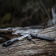 Нож Morakniv Companion Spark Black, нержавеющая сталь (13567) Нож Morakniv Companion Spark Black, нержавеющая сталь (13567)