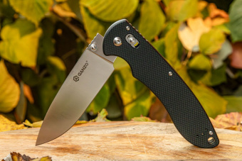 Нож складной Ganzo G740-BK черный