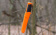 Нож Morakniv Companion F Serrated серрейторная заточка, нержавеющая сталь (11829) Нож Morakniv Companion F Serrated серрейторная заточка, нержавеющая сталь (11829)